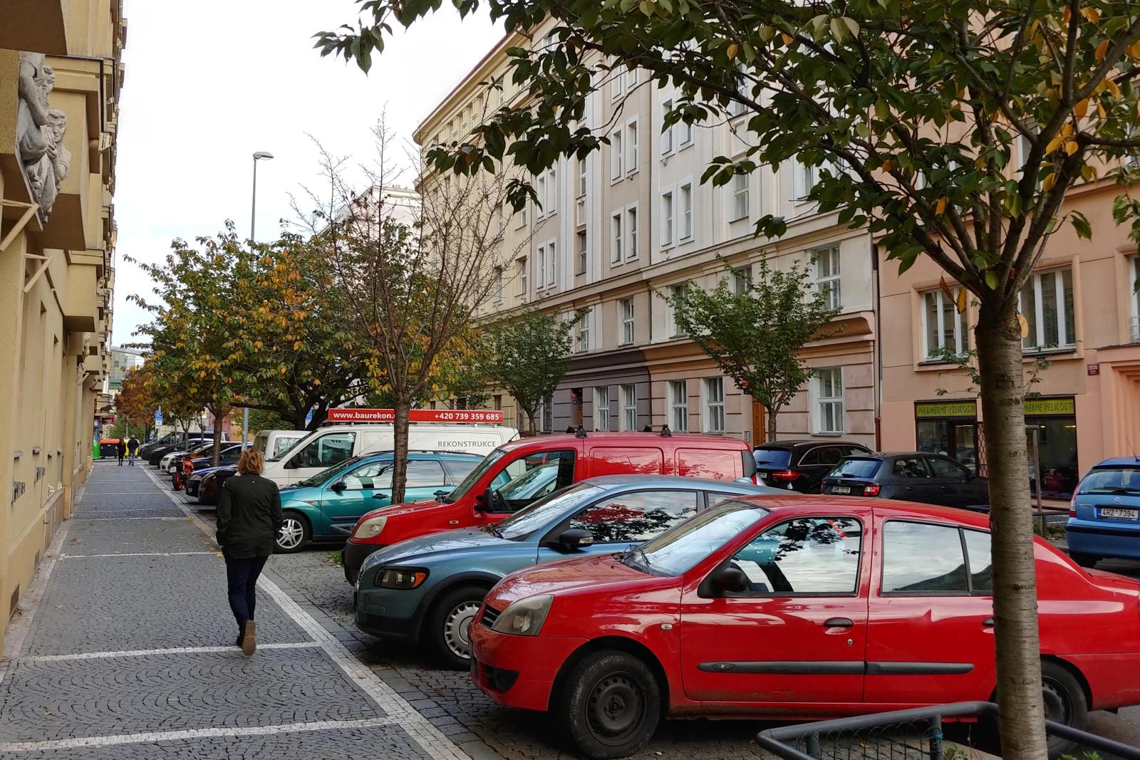 2019.10.29_15-28 první i na podzim