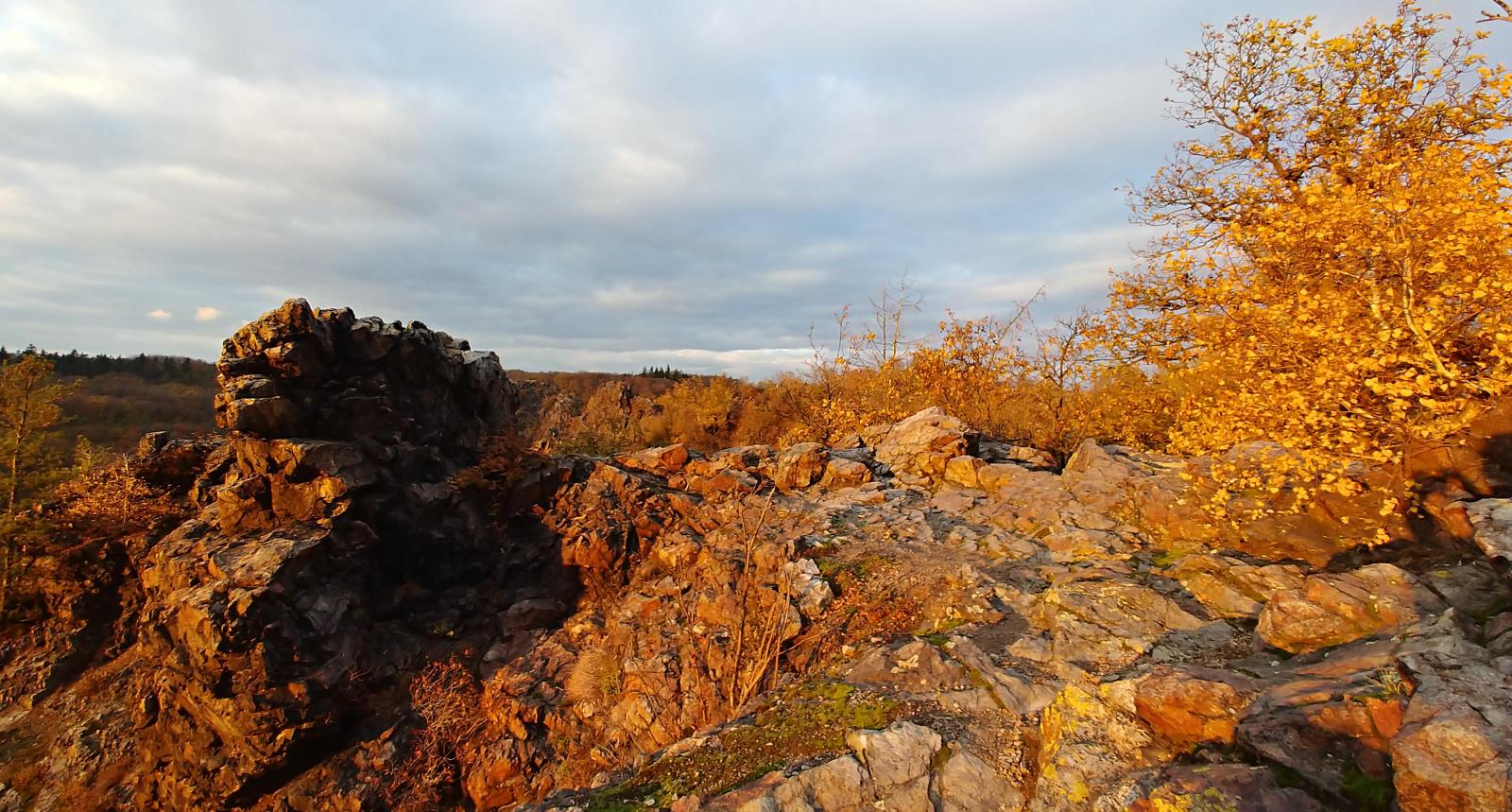 2019.11.06_1600 Šárka