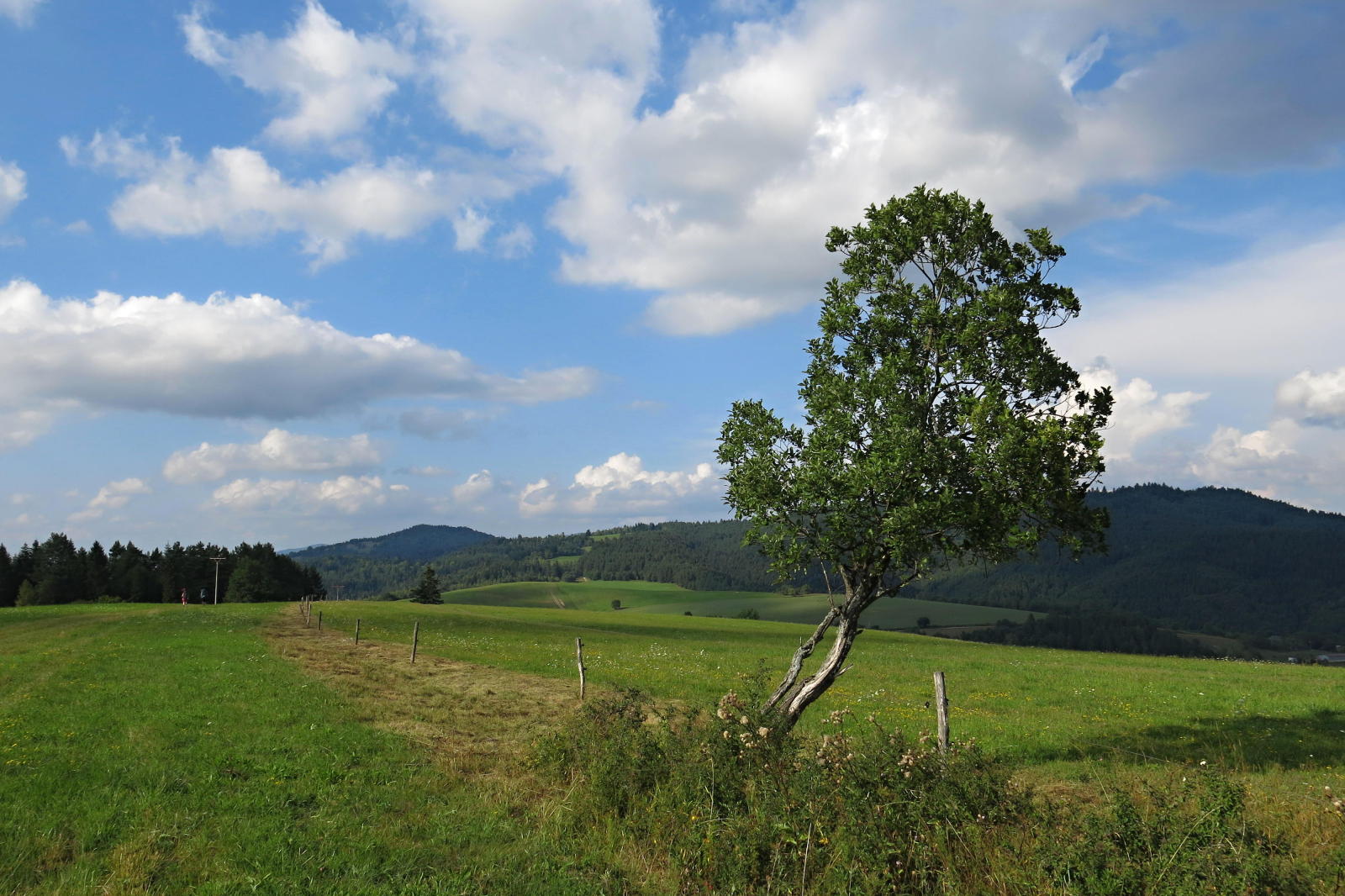 2022.08.14_16-45-02 kolem vrchu Nad modrinami