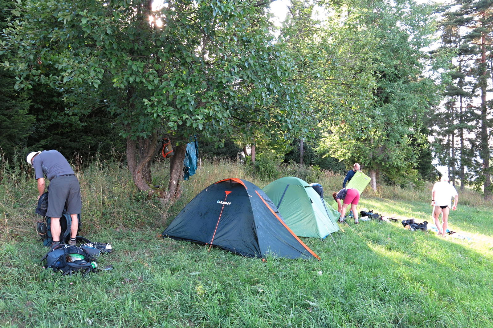 2022.08.14_17-38-14 nocleh na kraji lesa