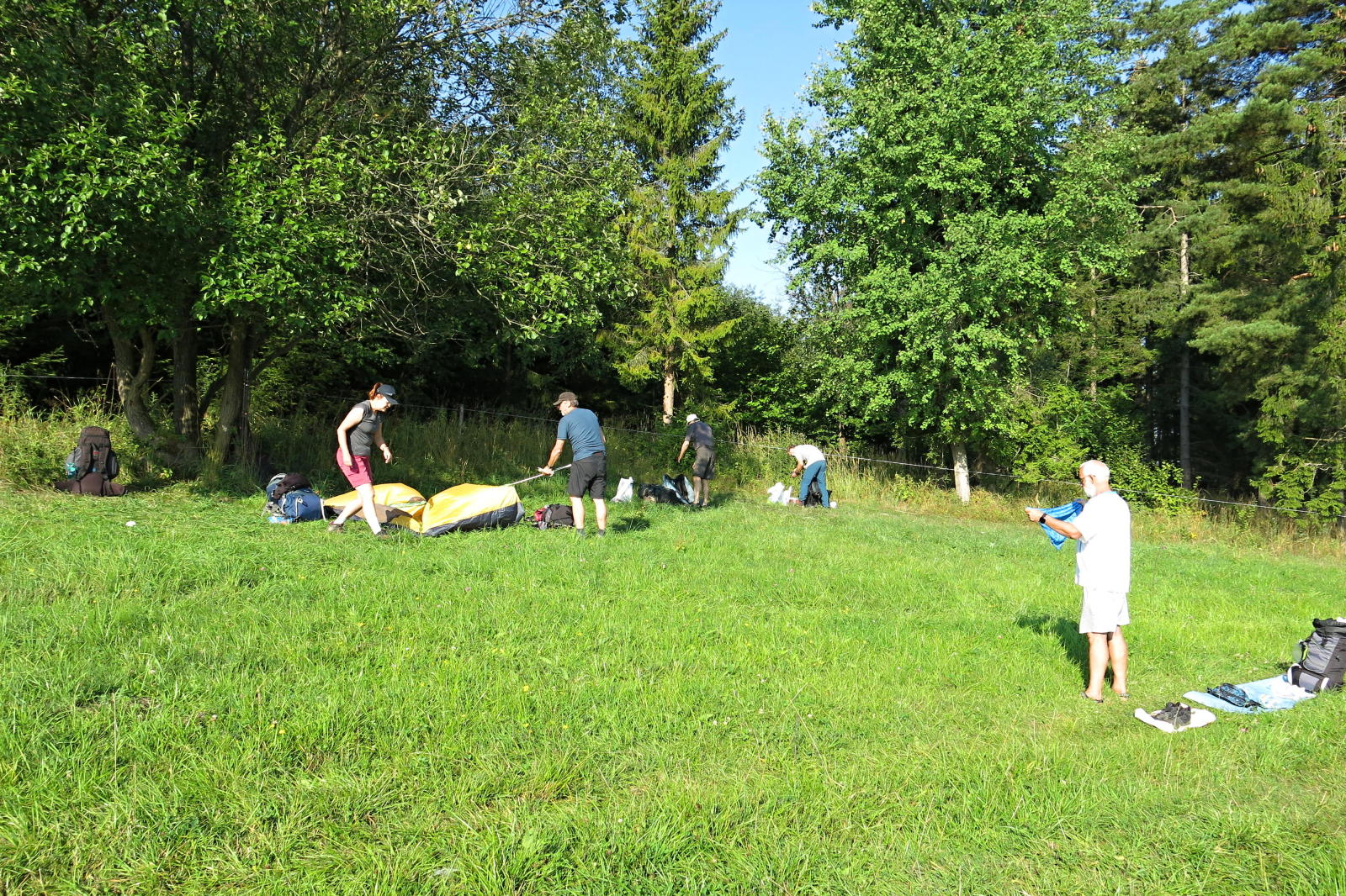 2022.08.15_08-15-29 nocleh na kraji lesa