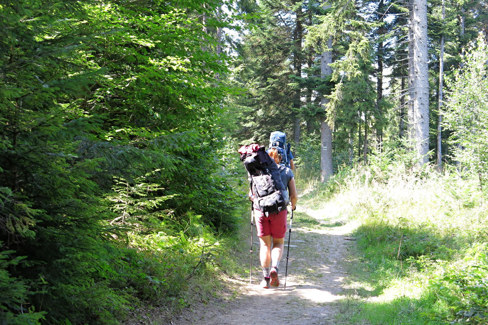 2022.08.16_14-25 povolený popruh