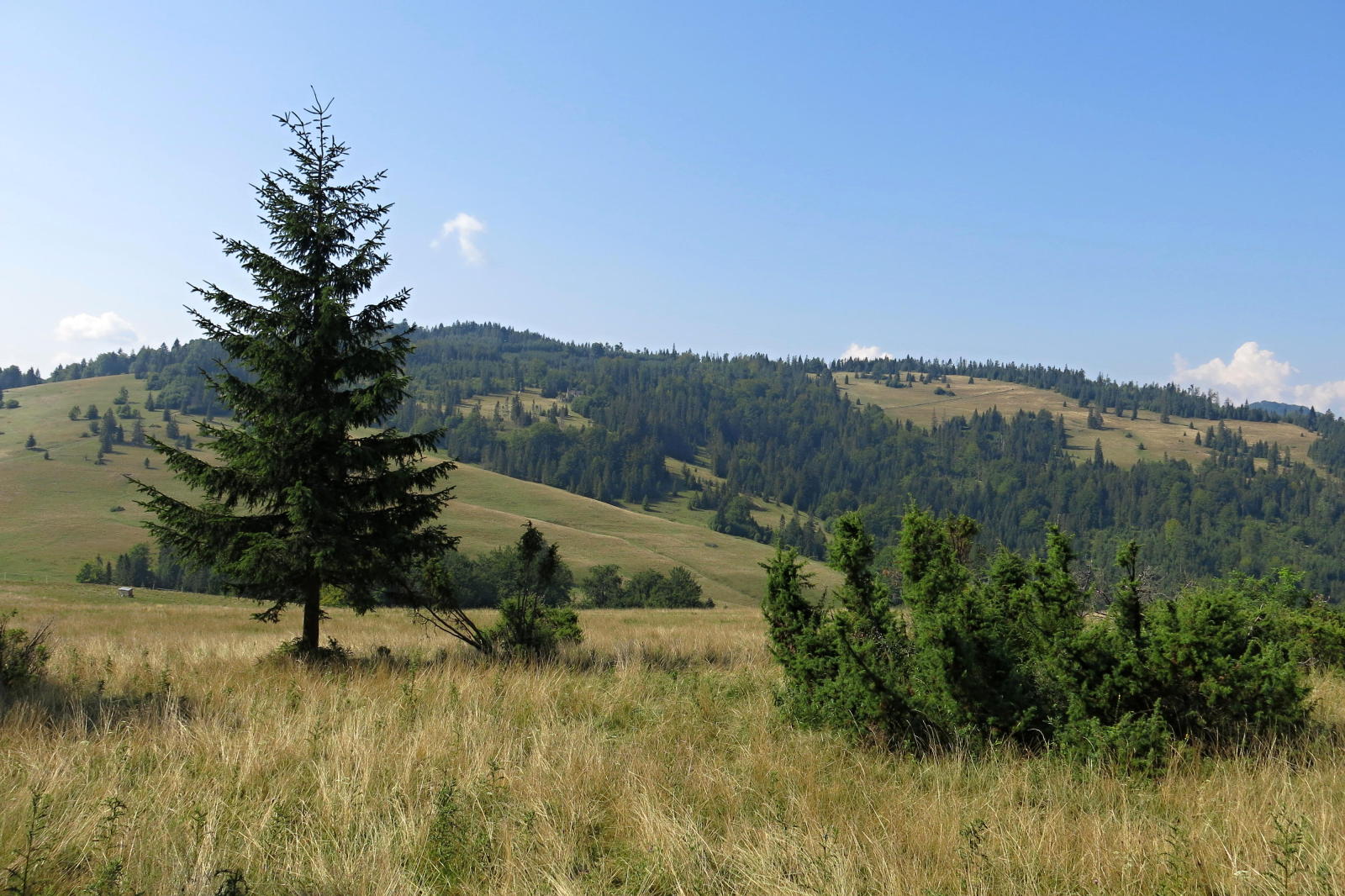 2022.08.17_10-20 Vrchriečky