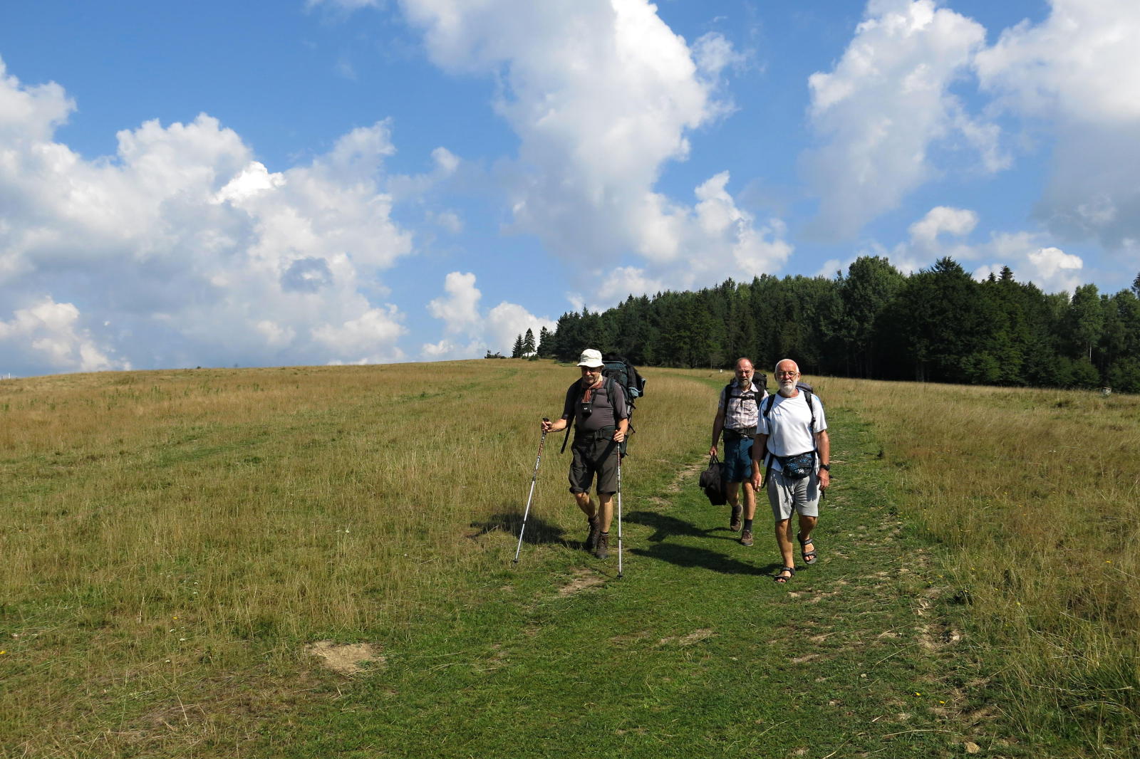 2022.08.17_10-24 sedlo Rozdiel 