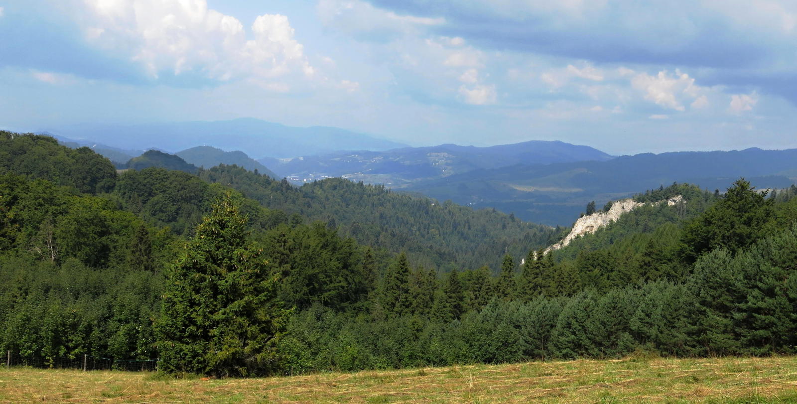 2022.08.17_11-24 Pieniny