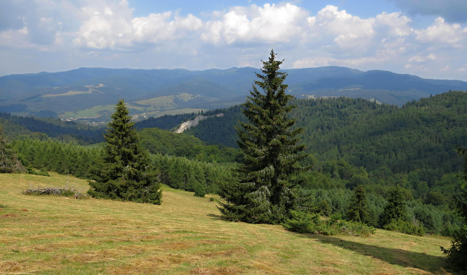 2022.08.17_11-51 Pieniny