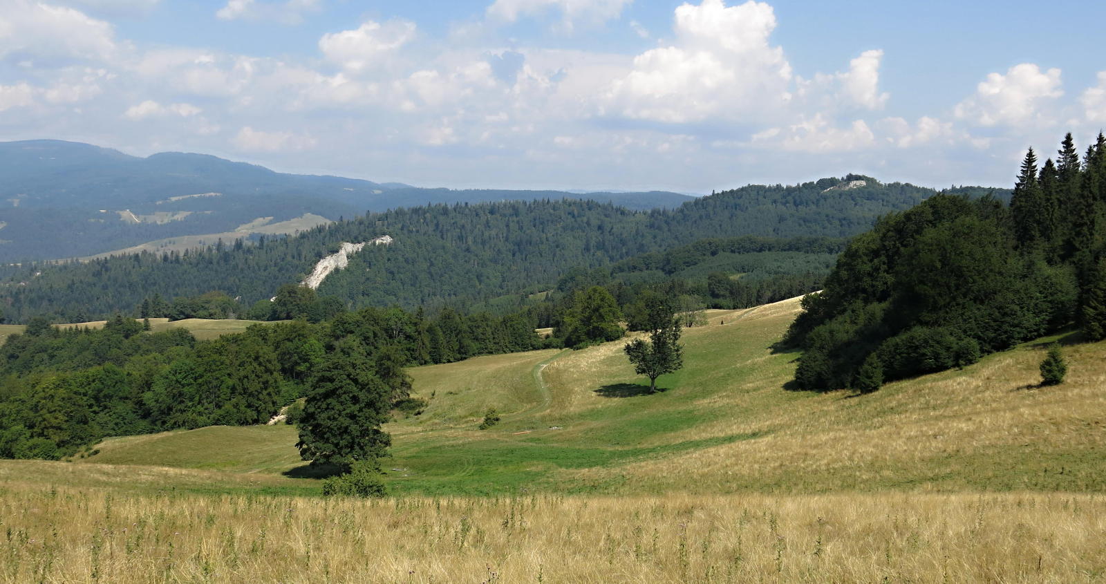 2022.08.17_13-29 pohled zpět