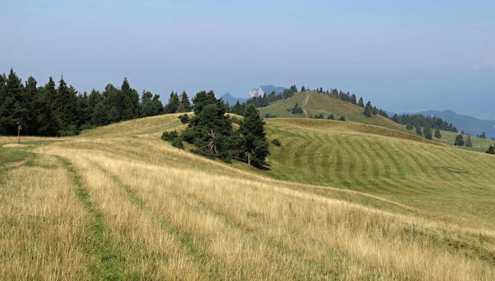2022.08.18_09-19 vrch Šľachovky