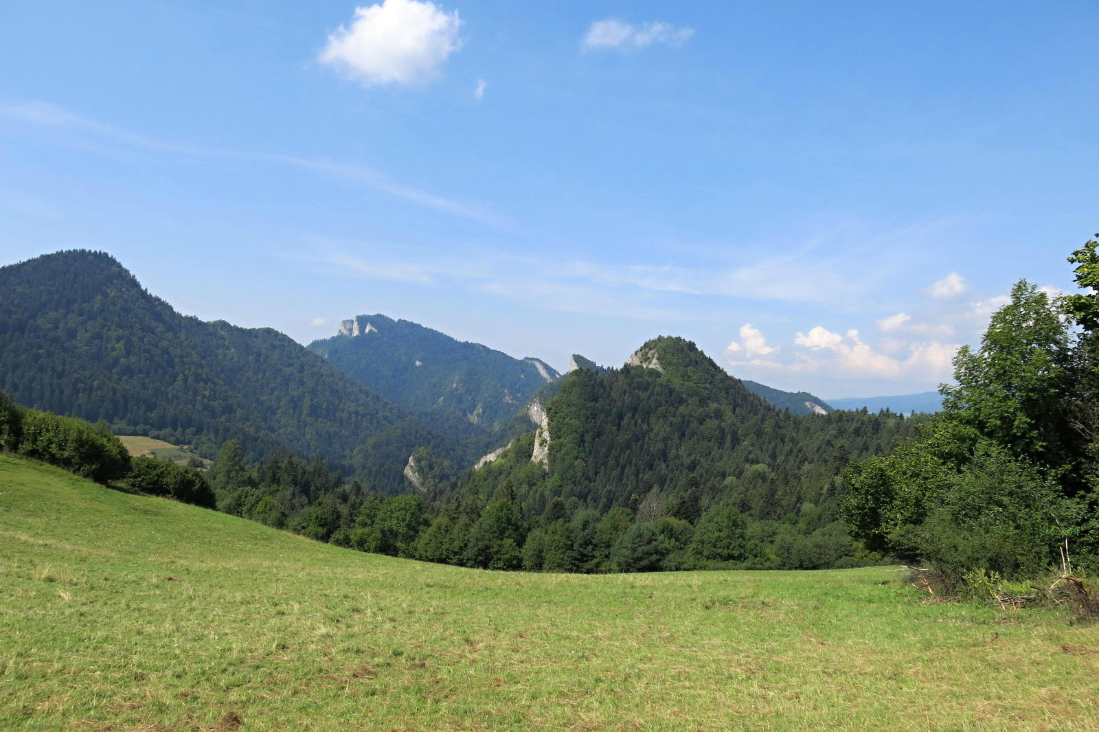 2022.08.18_11-45-25 sedlo pod Šafranovkou 