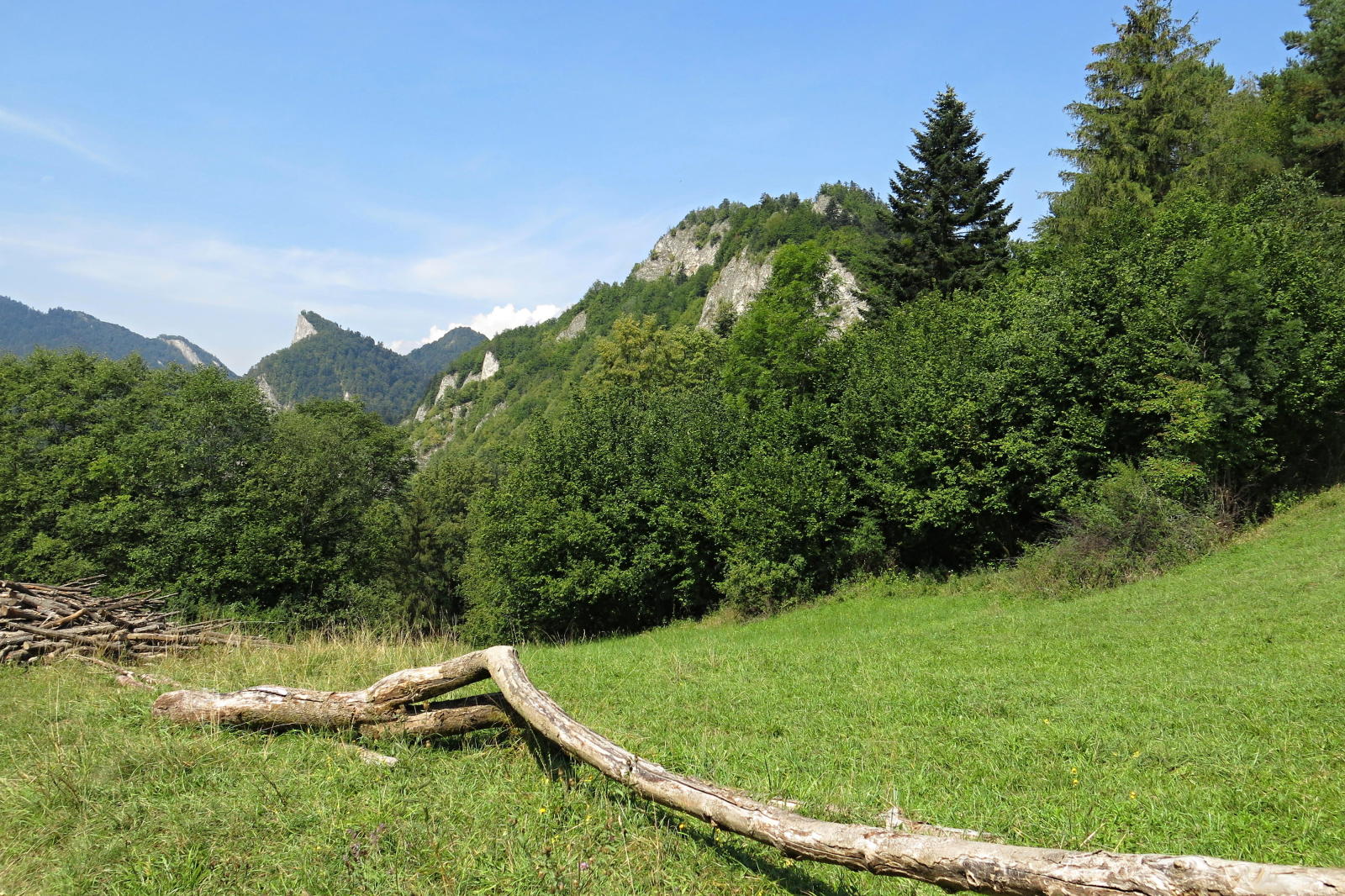 2022.08.18_11-53-50 sedlo pod Šafranovkou 