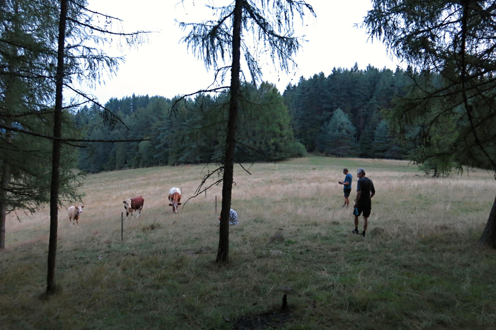 2022.08.19_19-57-07 Kacwin