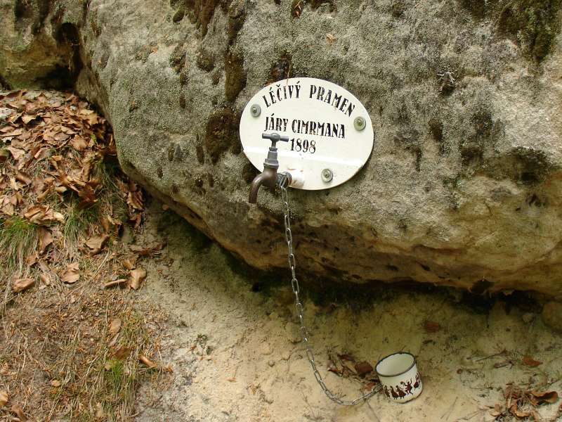 2006.05.08_10-52 Husi cesta.jpg