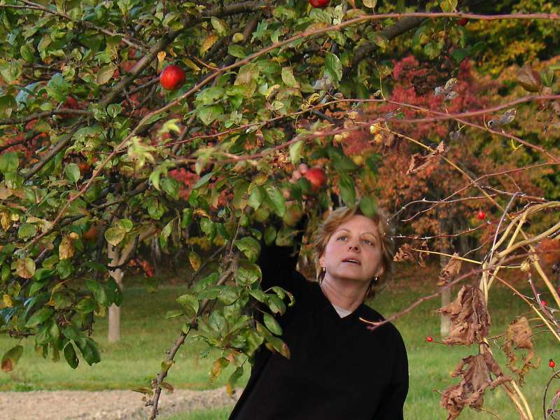 2006.10.22_17-19 Pod Kozakovem.jpg