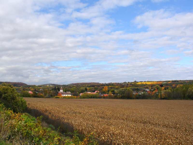 2006.10.29_12-17 Weinviertel.jpg