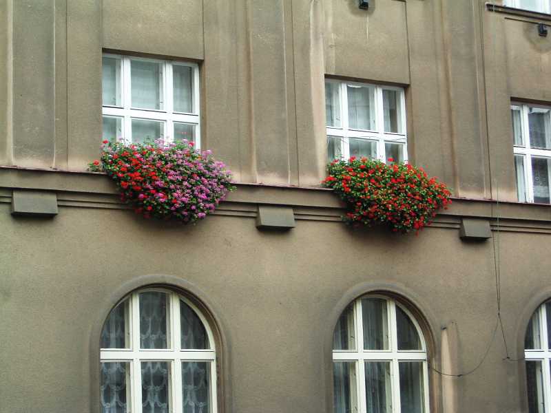 2006.12.06_13-35 Na Mikulase.jpg
