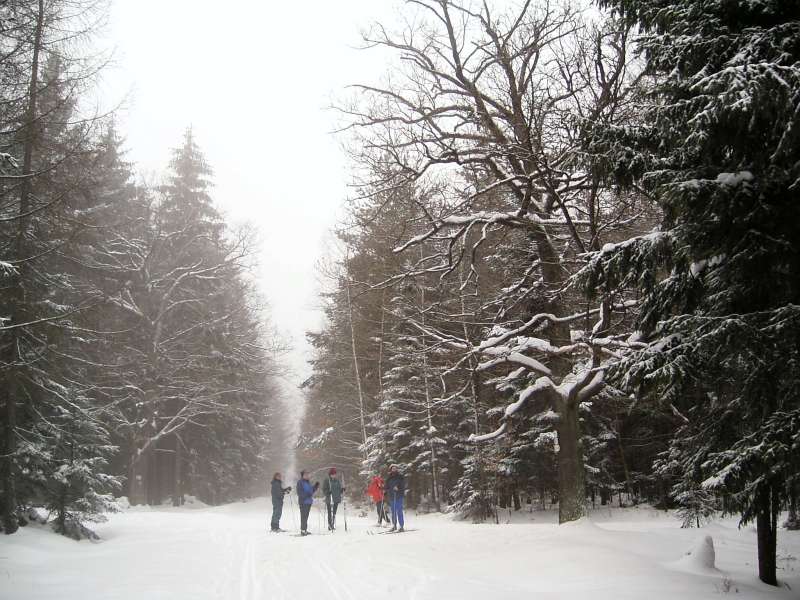 2005.03.13_11-21 Brdy.jpg