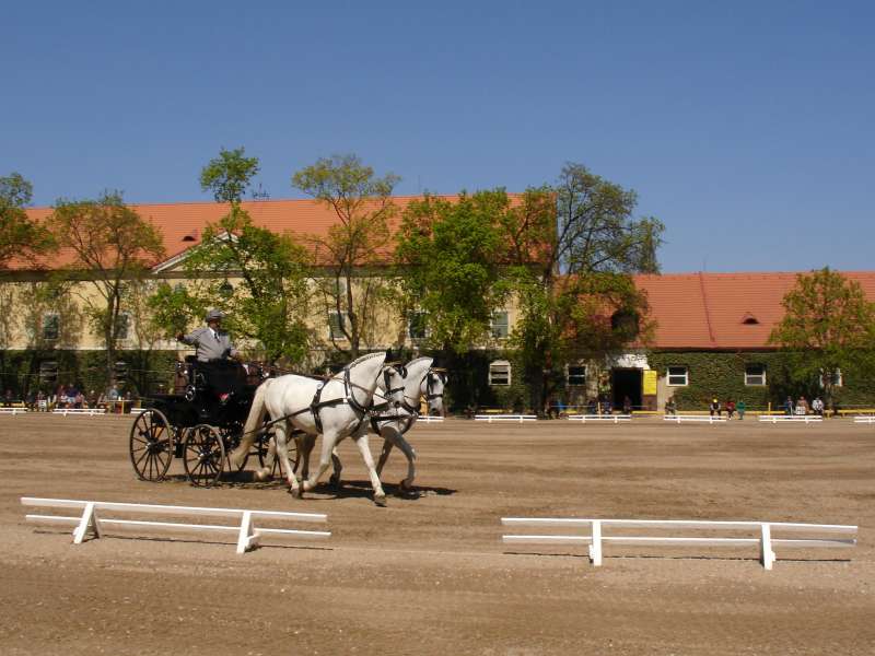 2005.04.22_14-05 Kladruby.jpg