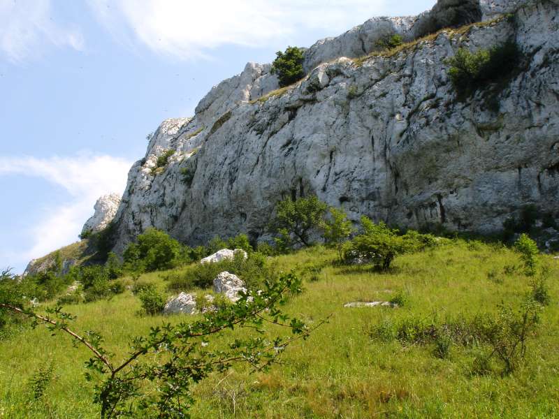 2005.07.15_11-45 Pavlovske vrchy.jpg