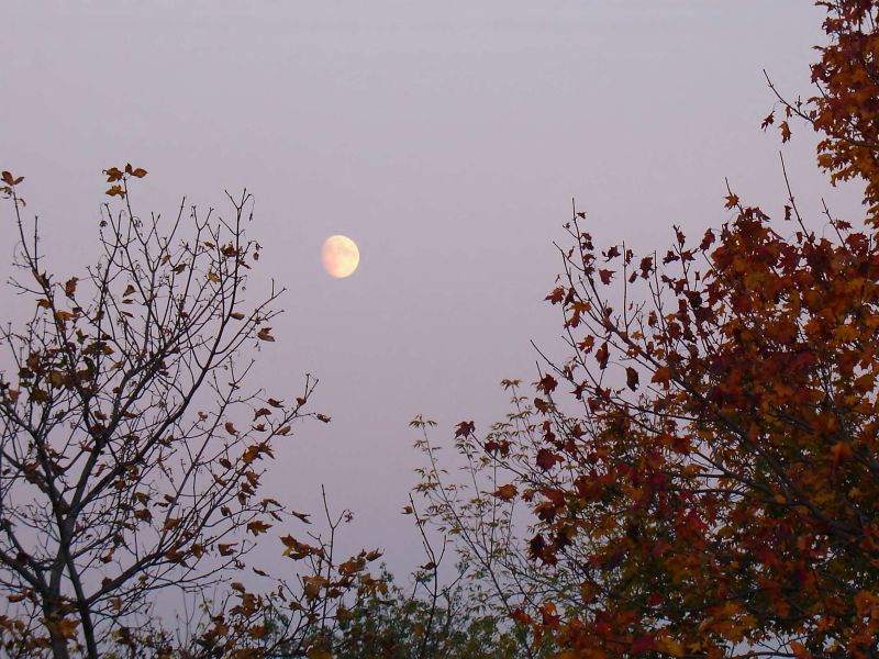 2005.10.14_18-16 Z Parukarky na vychod.jpg