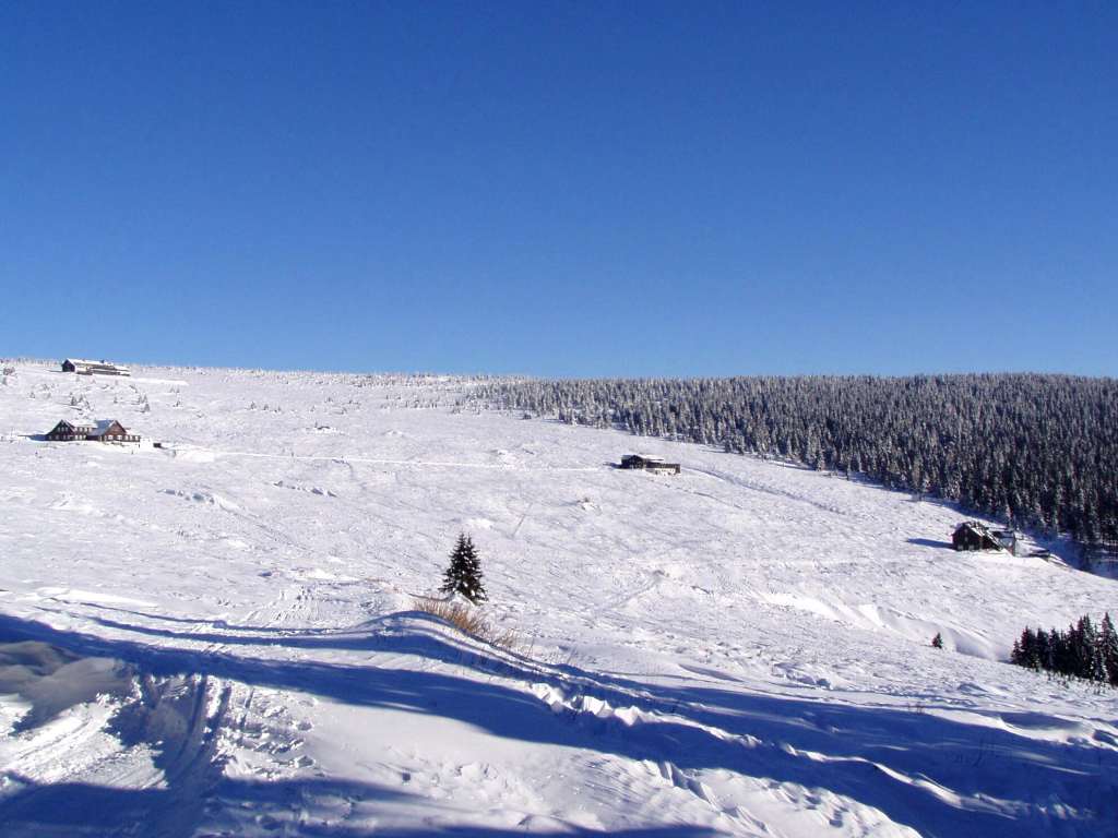 2003.01.01_Zadni Renerovky.jpg