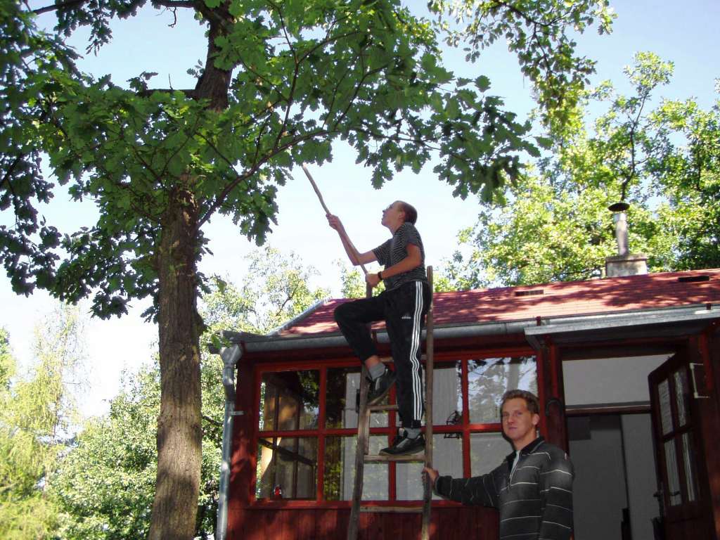 2003.09.06_Vetve.jpg