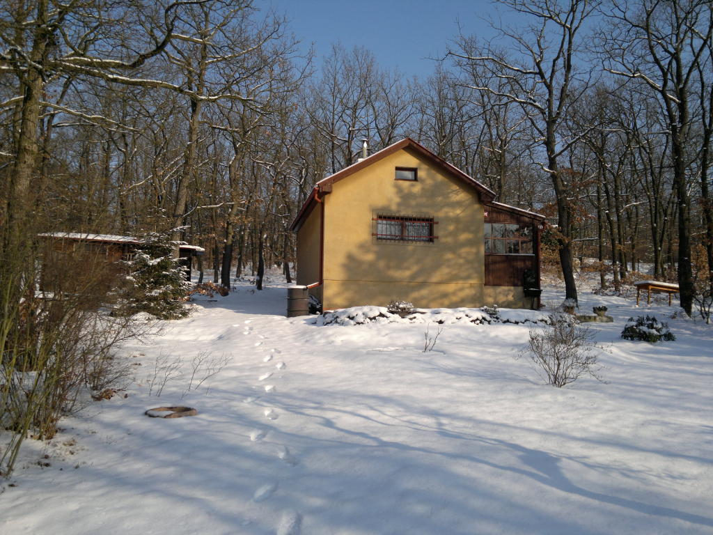 2012.02.11_14-43-47