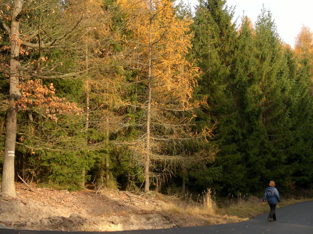 2012.11.25_13-51 Brdy