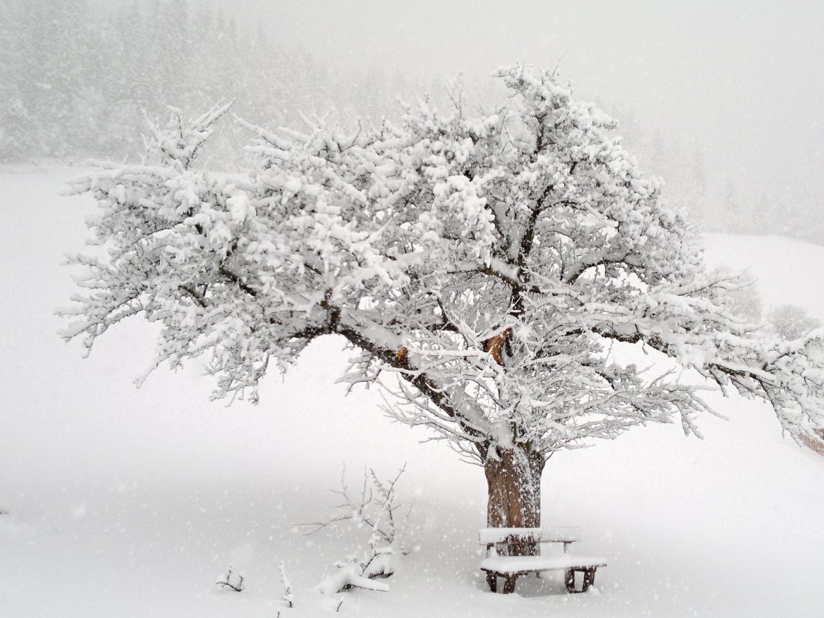 2014.01.31_09-44-19 Lungau