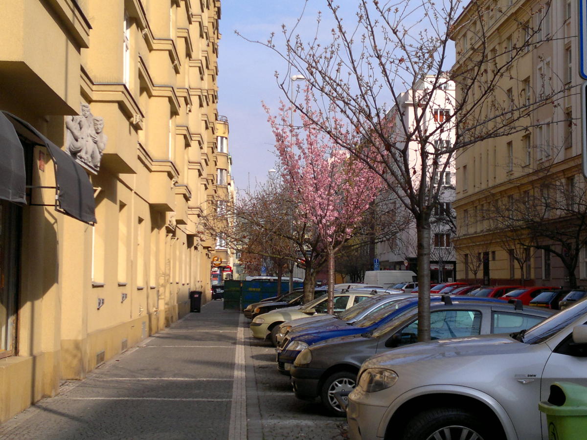 2014.03.26_14-55 zase napřed