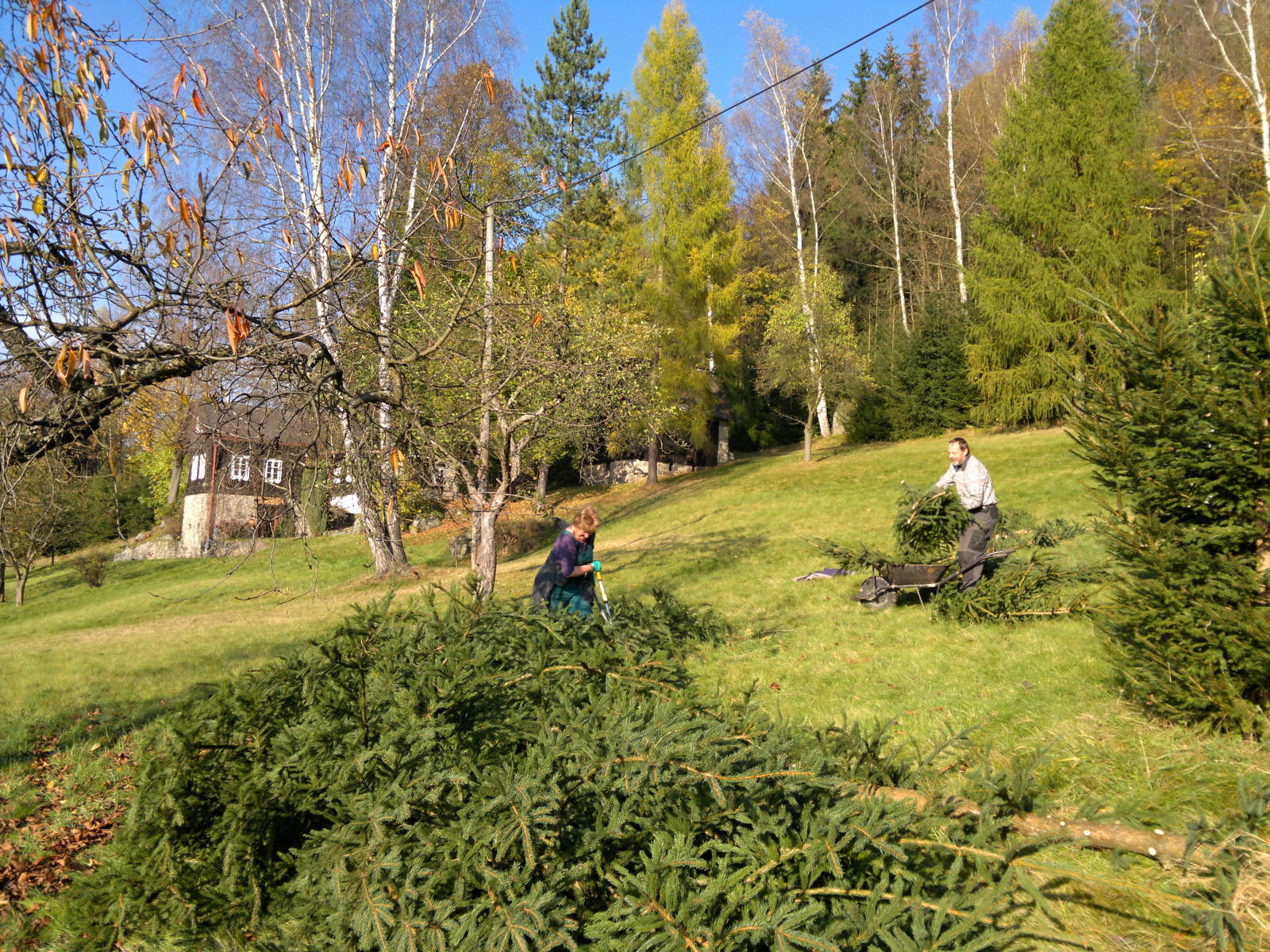 2014.10.27_14-03 orezani smrku