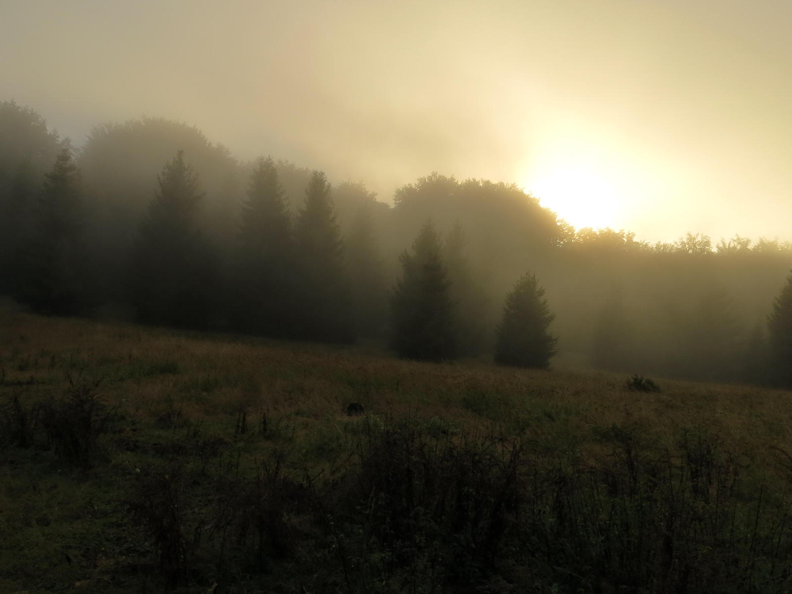 2016.08.21_19-12-16 Kňažinové lúky