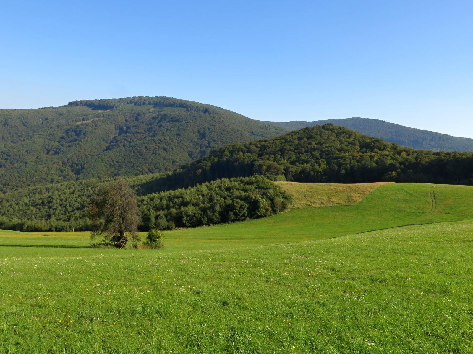 2016.08.27_08-51 Prieľačina, Panská Javorina
