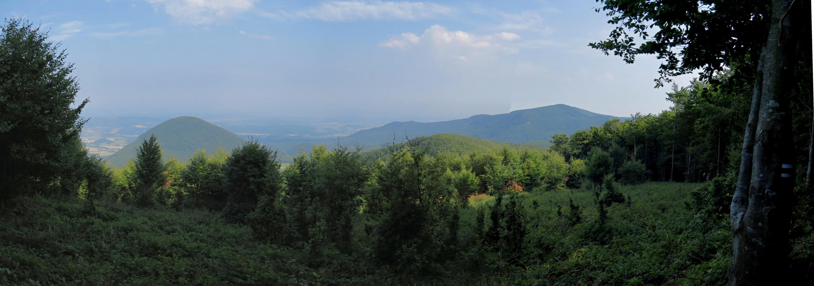 2017.08.19_16-19 Oblík, Šimonka