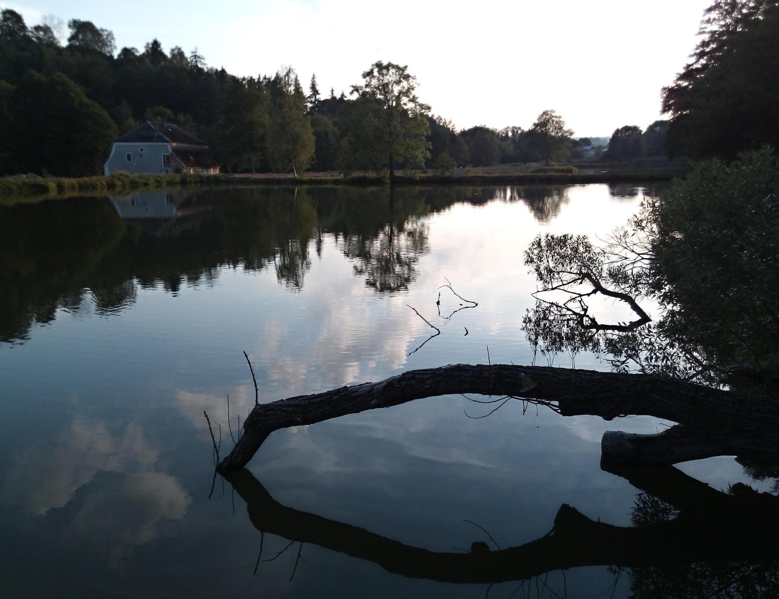 2017.08.02_19-26-32 Hynčice, pstruzi