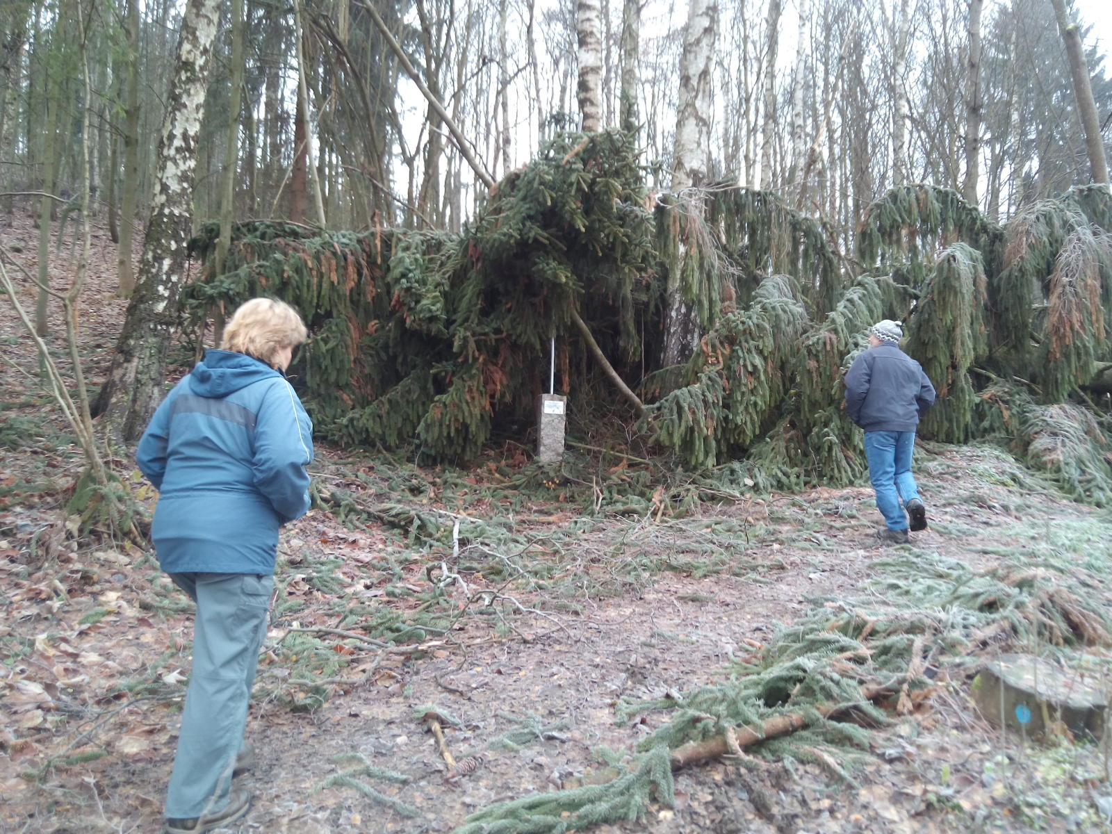 2017.11.18_09-55 křížová cesta Smržovka