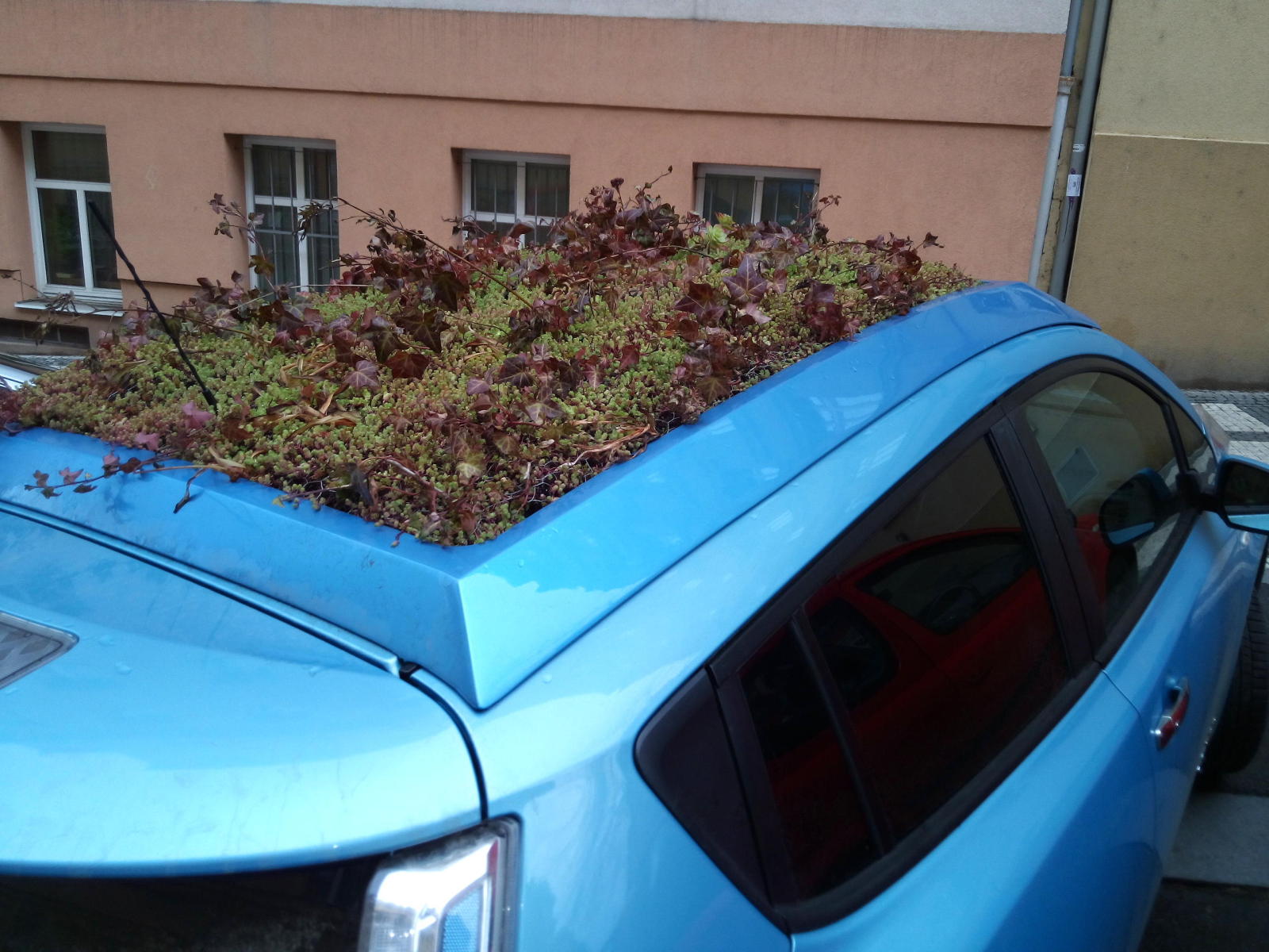2017.12.11_09-01 autozahrádka