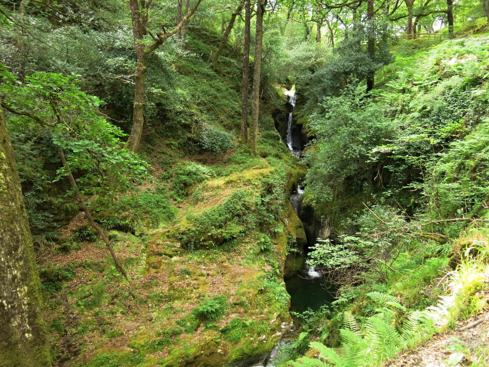 2018.07.19_11-00-52 Wicklow Mountains