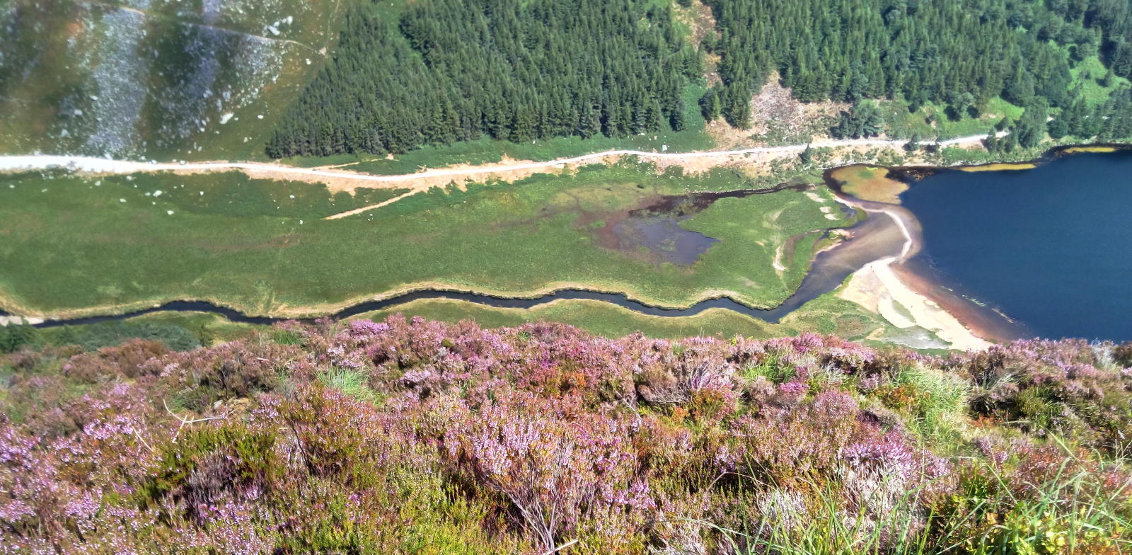 2018.07.19_12-02-16 Wicklow Mountains