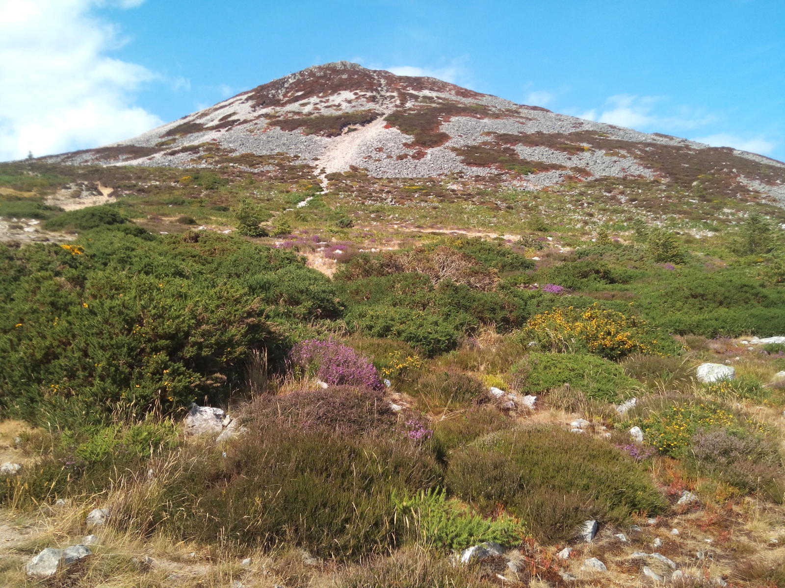 2018.07.19_16-12-59 Great Sugar Loaf