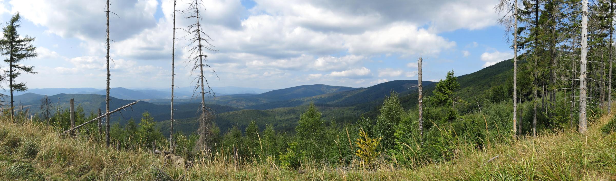 2018.08.22_12-26-24 ohlédnutí zpět