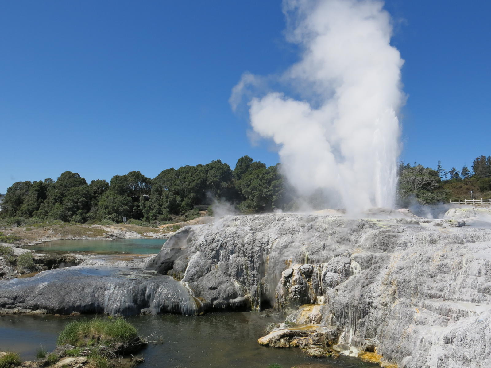 2018.10.15_13-41-41 Novy Zeland, SO, Rotorua Te Puia