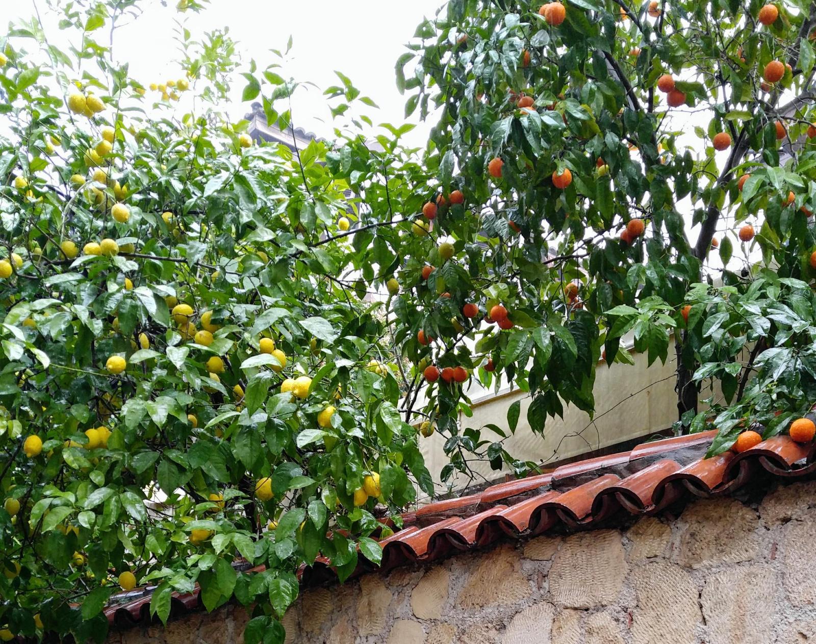 2019.01.01_15-36-41 Antalya