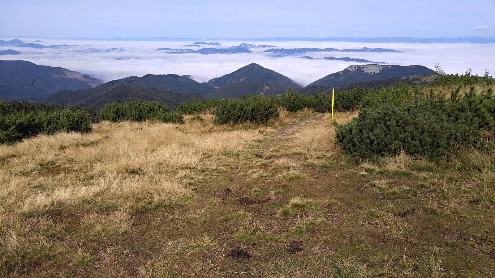 2019.08.17_09-55-19 Velka Luka