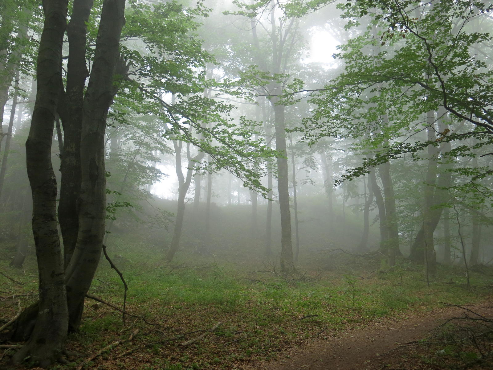 2019.08.21_10-44-37 cesta na Strazov