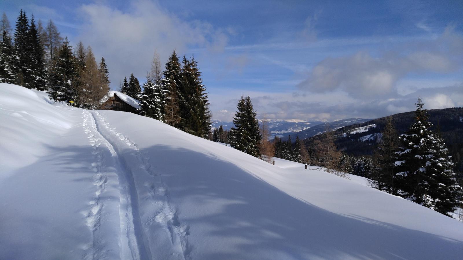 2019.01.30_11-37-44 Greinwald