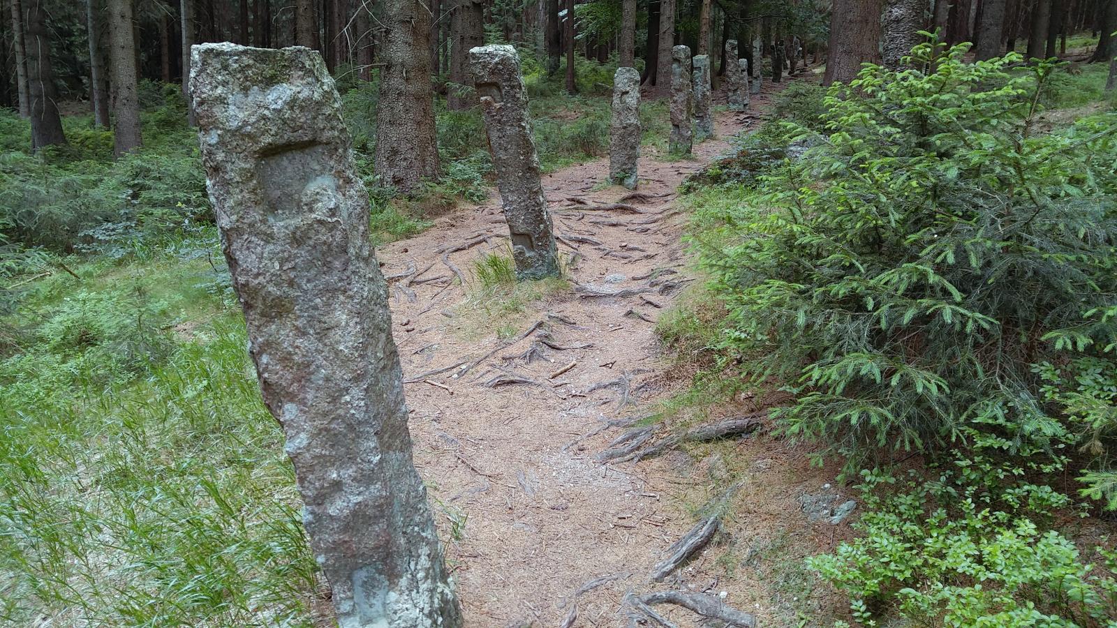 2019.07.05_12-45-23 Josefodolská přehrada Červený potok